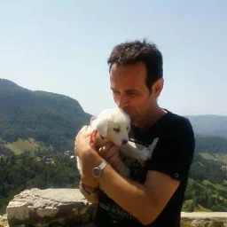 @sorin-stoica