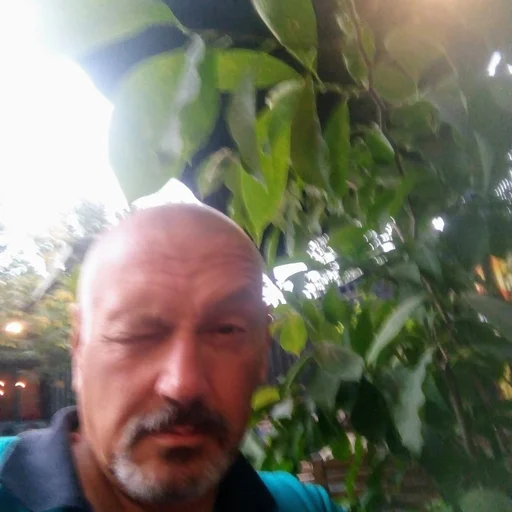 @eduard-lupascu