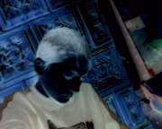 badwolf