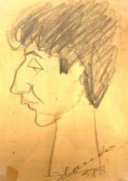 Danicut 